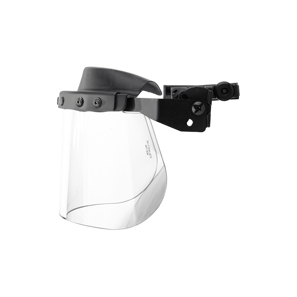 Team Wendy Railmount Faceshield