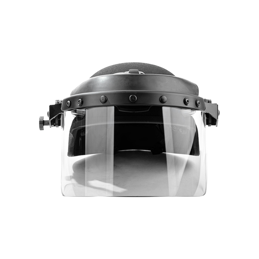 Team Wendy Railmount Faceshield