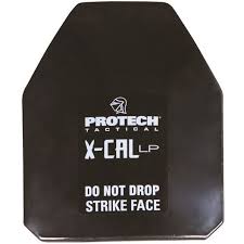 Safariland X-CAL ICW Plate | Used